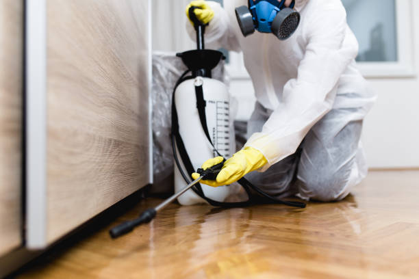 Best Pest Removal Services  in Pawcatuck, CT