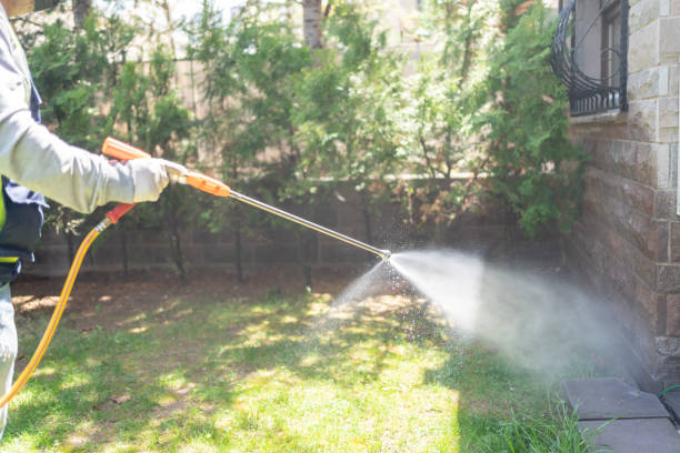 Best Insect Control  in Pawcatuck, CT