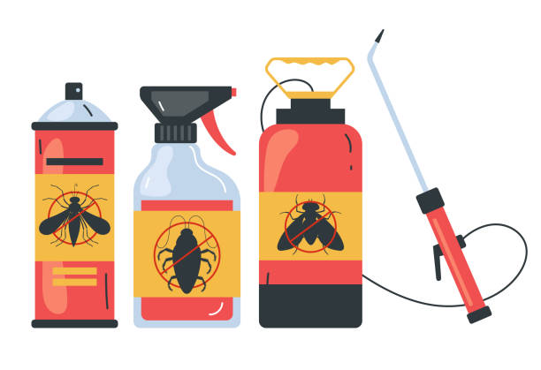 Best Ant Control Services  in Pawcatuck, CT