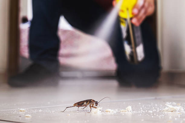 Trusted Pawcatuck, CT Pest Control Experts